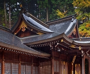 Takayama-Sakurayama Hachimangu Shrine 11-0900